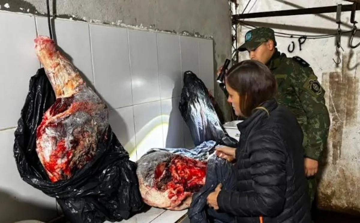 Secuestraron casi cien kilos de carne con tierra, pasto y pelos en un freezer de Villa Olivari