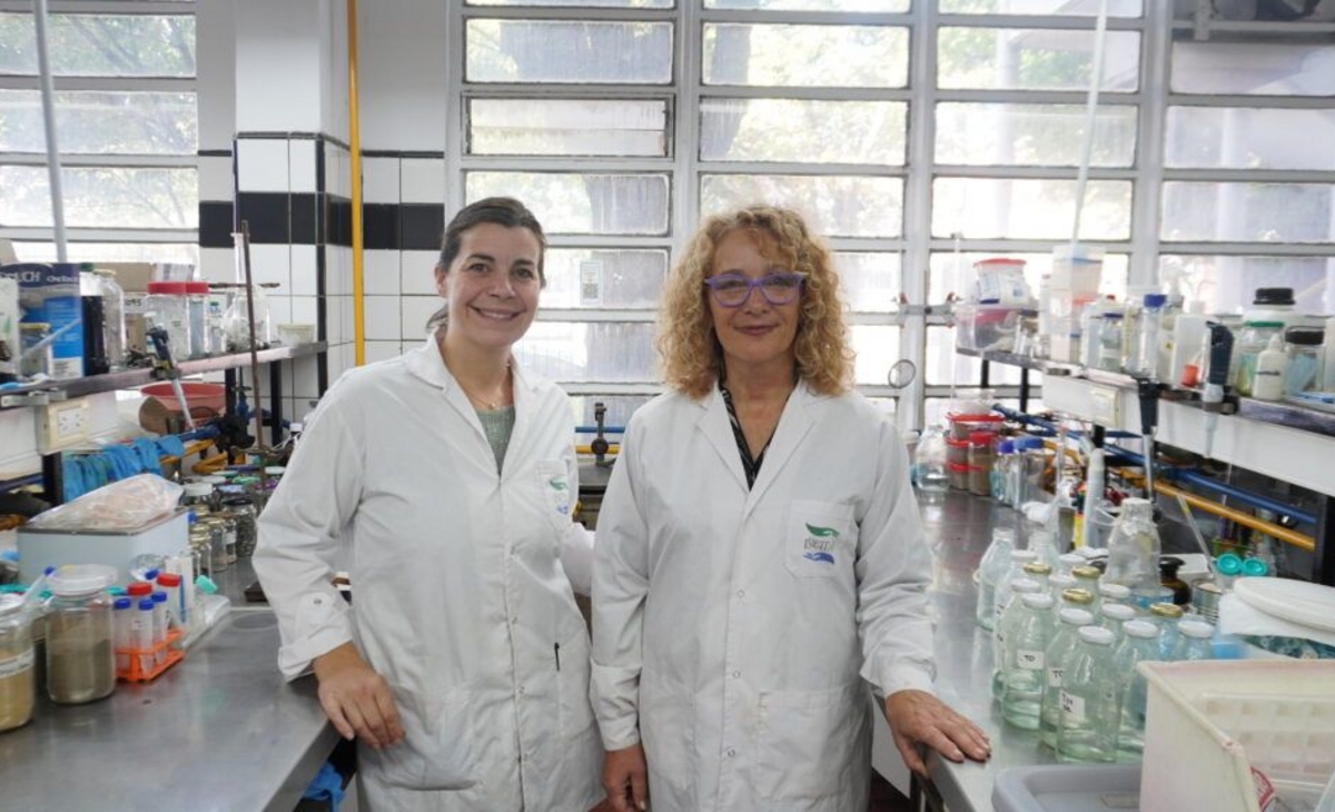 Buscan transformar residuos del puerto de Mar del Plata en bioplásticos