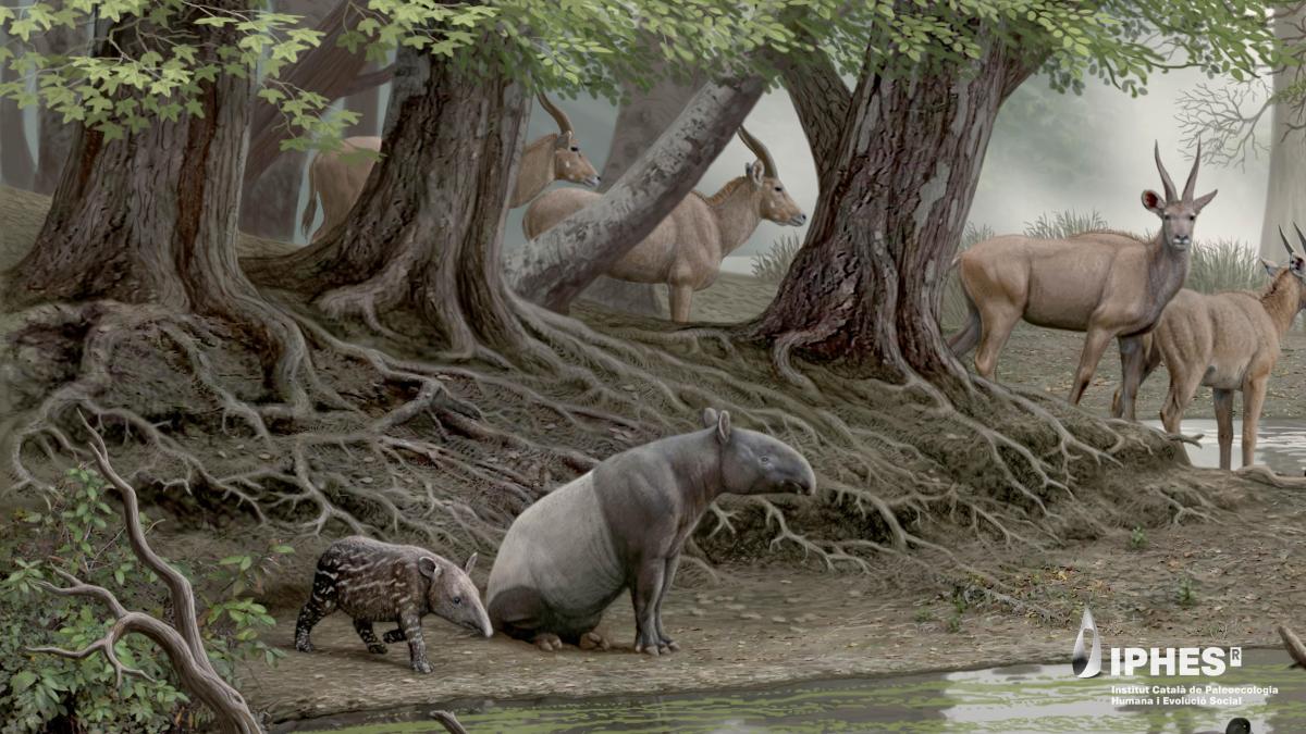 Descubierto en un antiguo lago volcánico de Girona el esqueleto completo de un joven tapir de hace cuatro millones de años