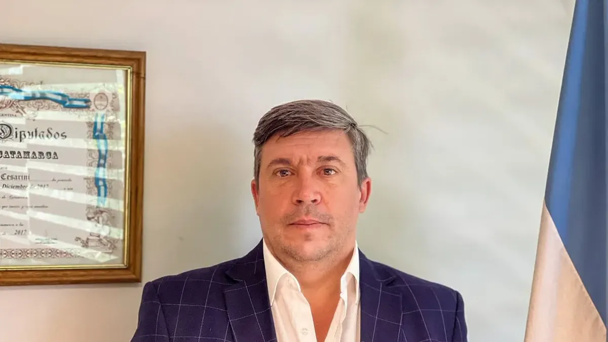 Cesarini respaldó la intervención del PRO Catamarca: "Se dispuso por irregularidades"