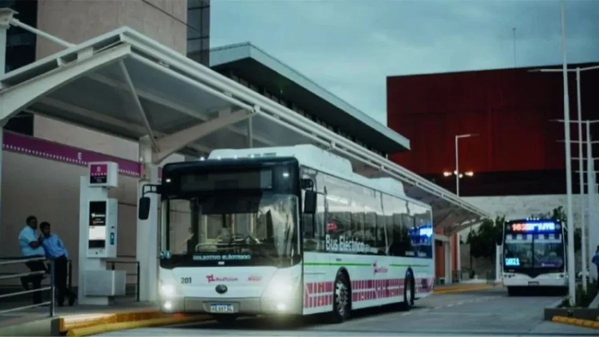 El costo de viajar en colectivo: con los extremos entre el Partido de la Costa y Pinamar, ¿en qué puesto está San Juan?