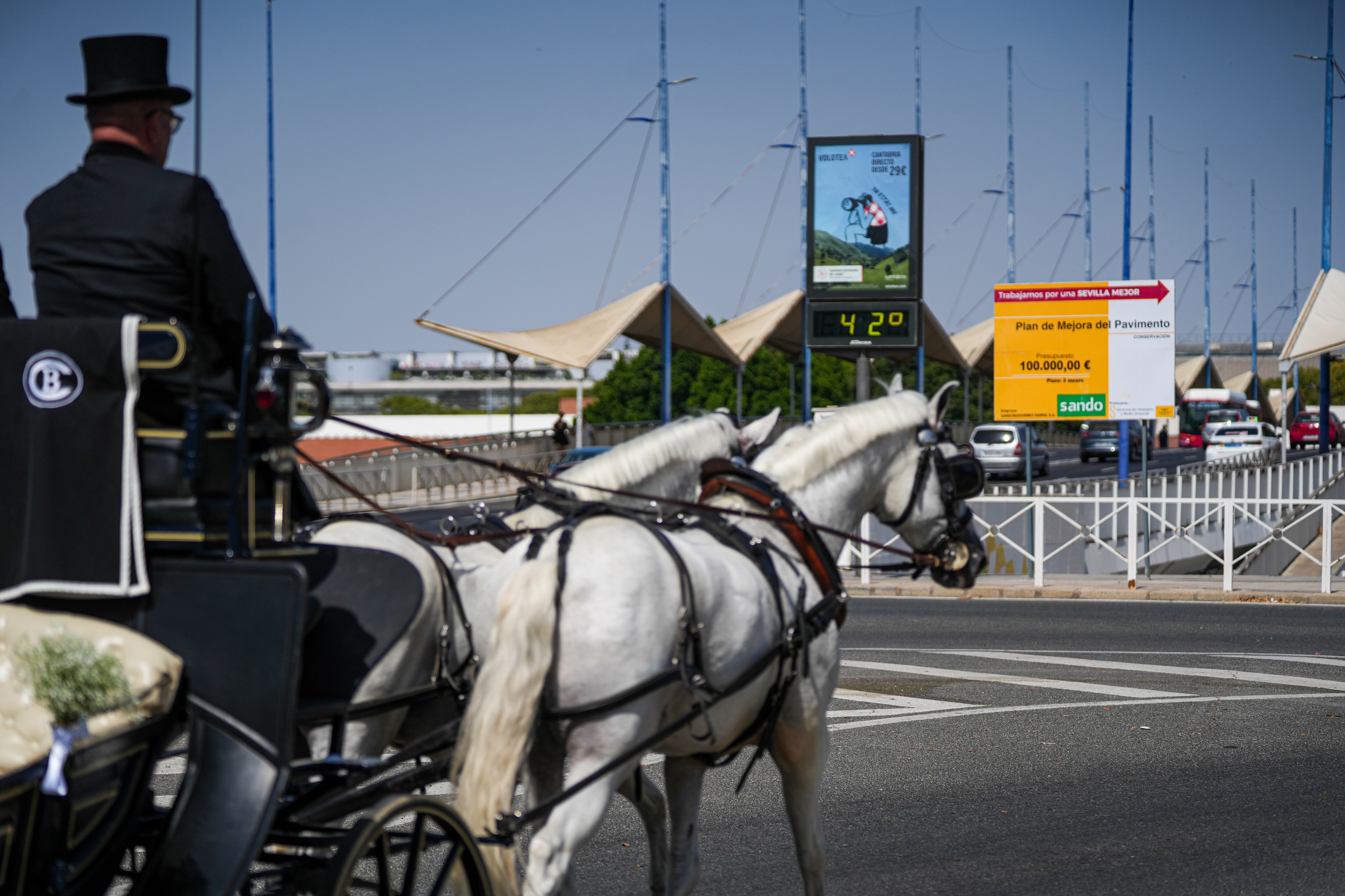 Un trabajador de 54 años muere al ser arrollado por un caballo en una hacienda de Sevilla