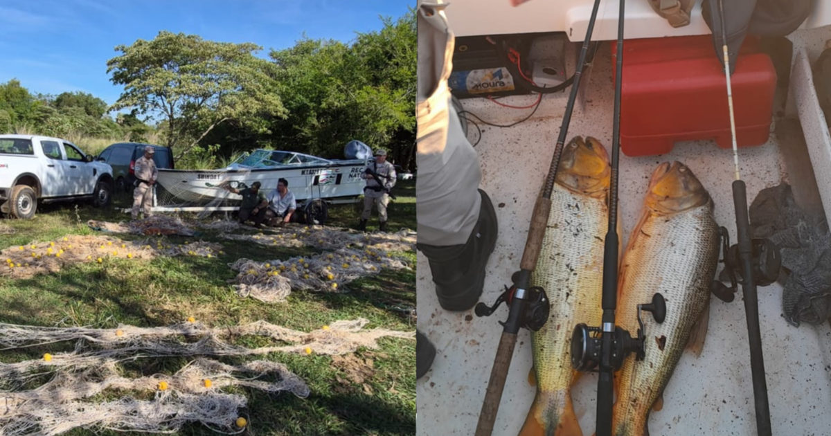 Corrientes: detectan una red de licencias falsas y uso de mallas prohibidas en el río