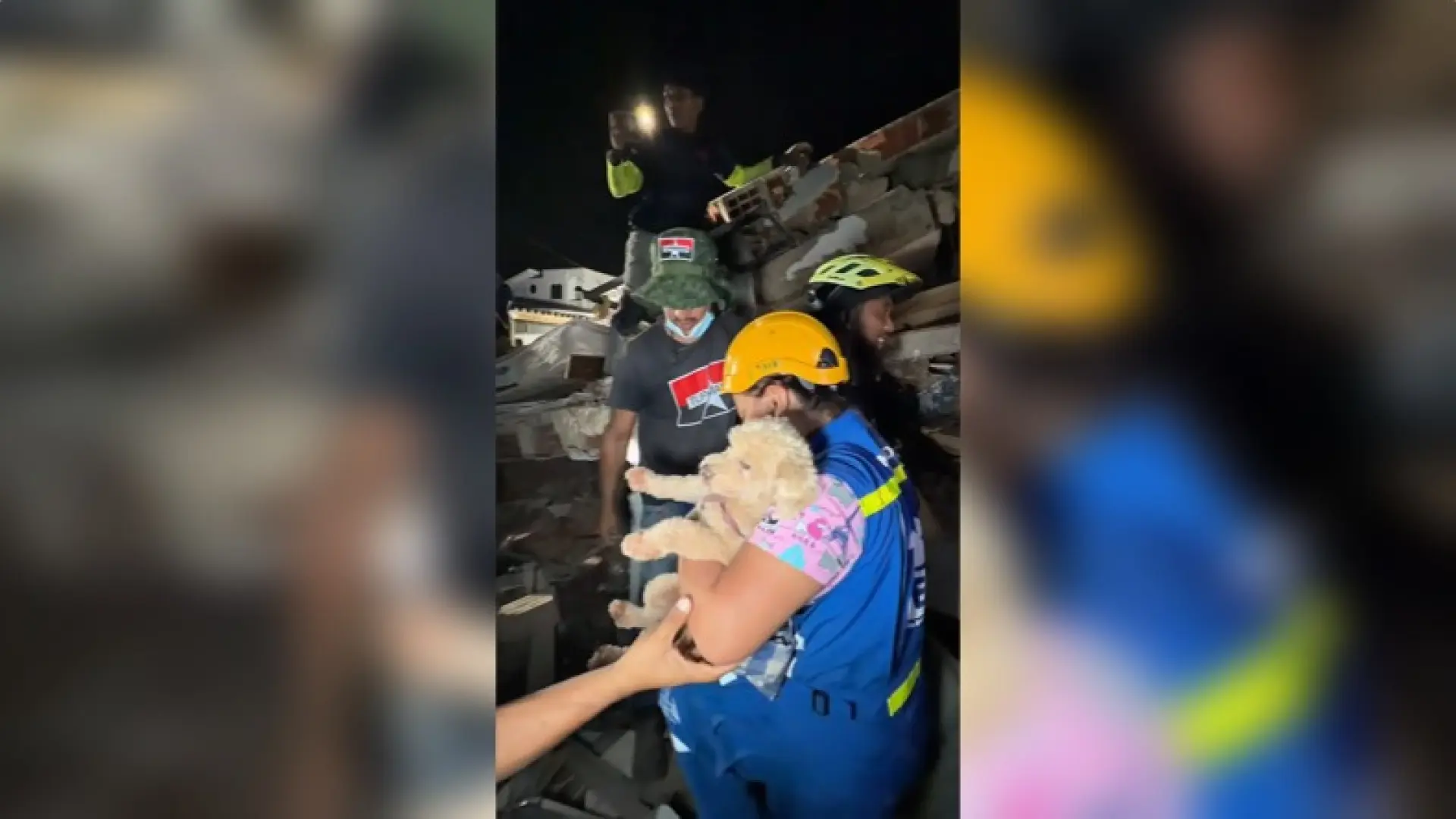 El emocionante rescate de Giselle, la perrita que se come a besos a su salvador tras estar cinco días bajo los escombros en Venezuela