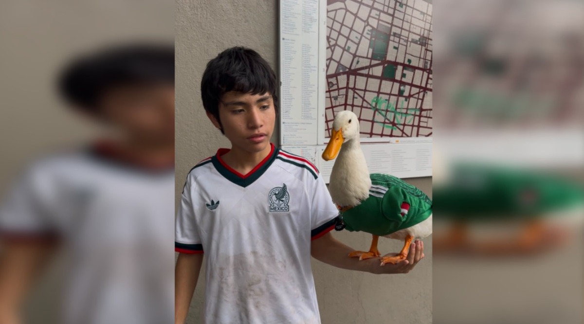 Pato Merlín, mascota viral en México durante Mundial 2026
