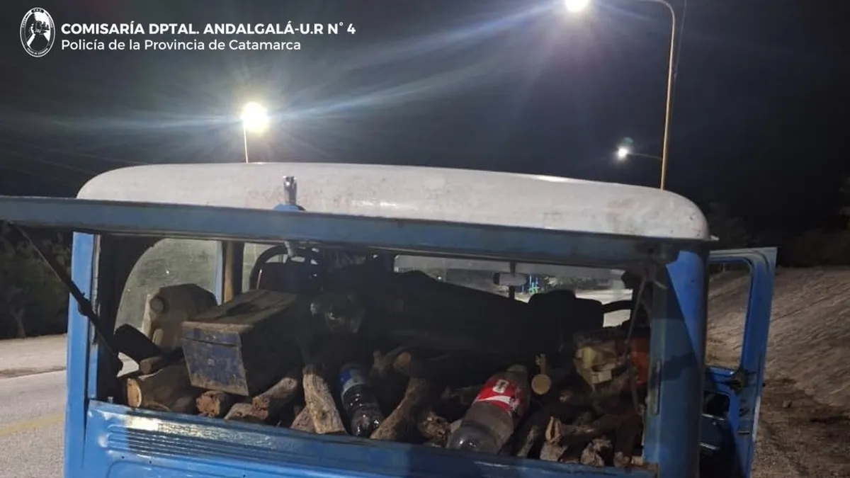 Secuestraron unos 700 kilos de leña