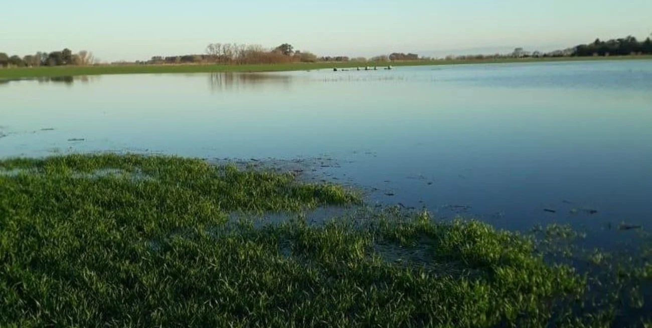 Los excesos hídricos siguen demorando la siembra y la cosecha en el sur del área agrícola