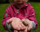 Nature boys and girls - here's your chance to get published in the Guardian