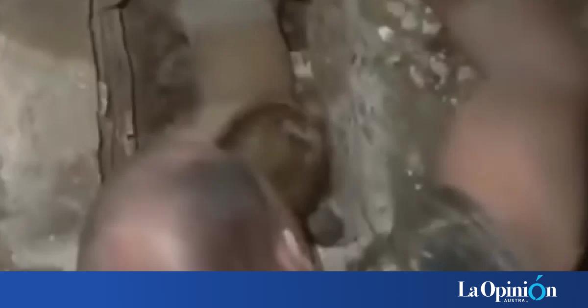 Rescataron con vida a un bebé entre los escombros tras los terremotos en Venezuela