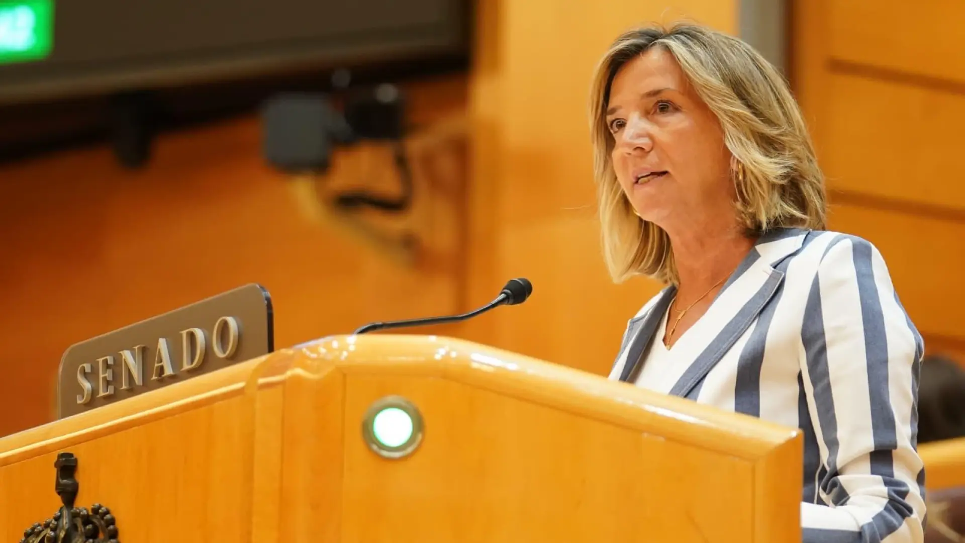 Junts evita votar en el Senado la moción del PP que pedía elecciones y el PNV la rechaza