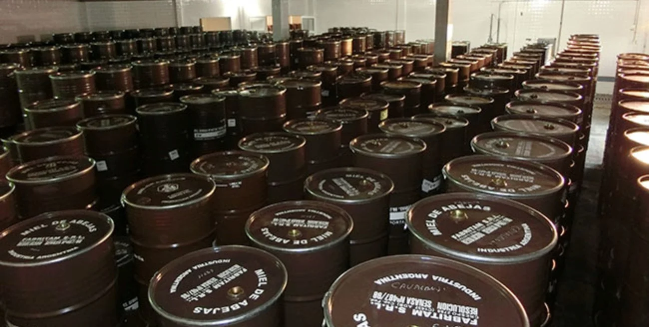 El campo amplía su presencia global: crecen las exportaciones de 209 productos argentinos