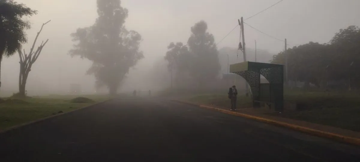 Mañanas de un dígito y neblina persistente: Misiones seguirá con tiempo estable pero frío