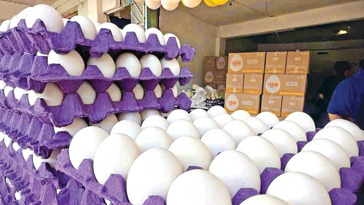 Competencia colapsó mercado local de huevo; alarma en Veracruz