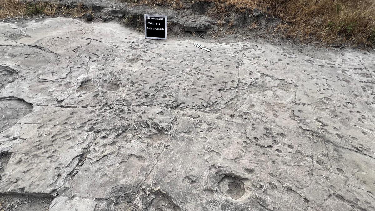Lucro sobre protección: así destruyen el patrimonio africano las instituciones estatales