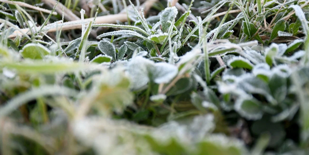 Una masa de aire antártico provoca temperaturas bajo cero y podría generar nevadas en zonas poco habituales