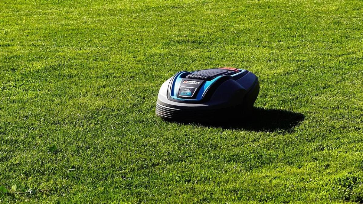 Cecotec, Anthbot y otros robots cortacésped por menos de 800 €