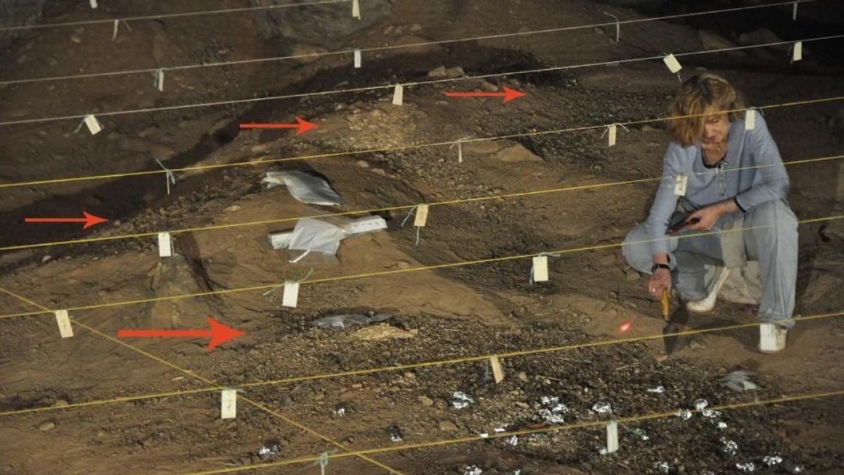 Restos revelan que el uso "oportunista" del fuego se remonta a hace 1,8 millones de años