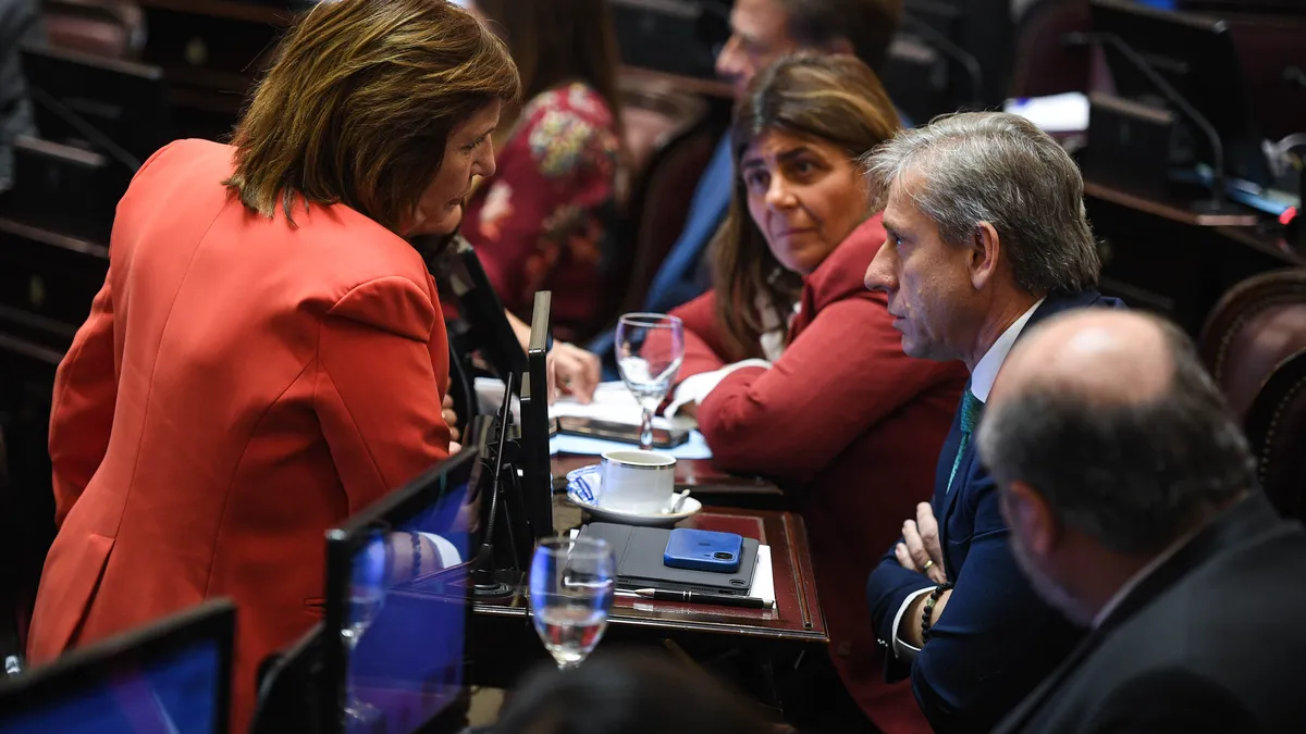 ¿Efecto cascada? Tras el revés en el Senado, el oficialismo percibe más derrotas en el recinto