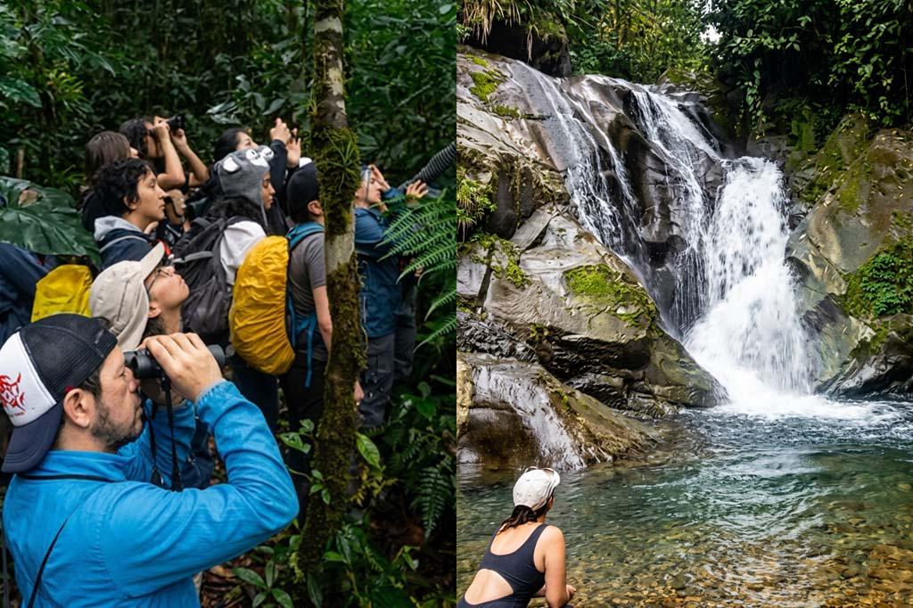 Senderismo en Cotacachi una aventura en el bosque Los Cedros