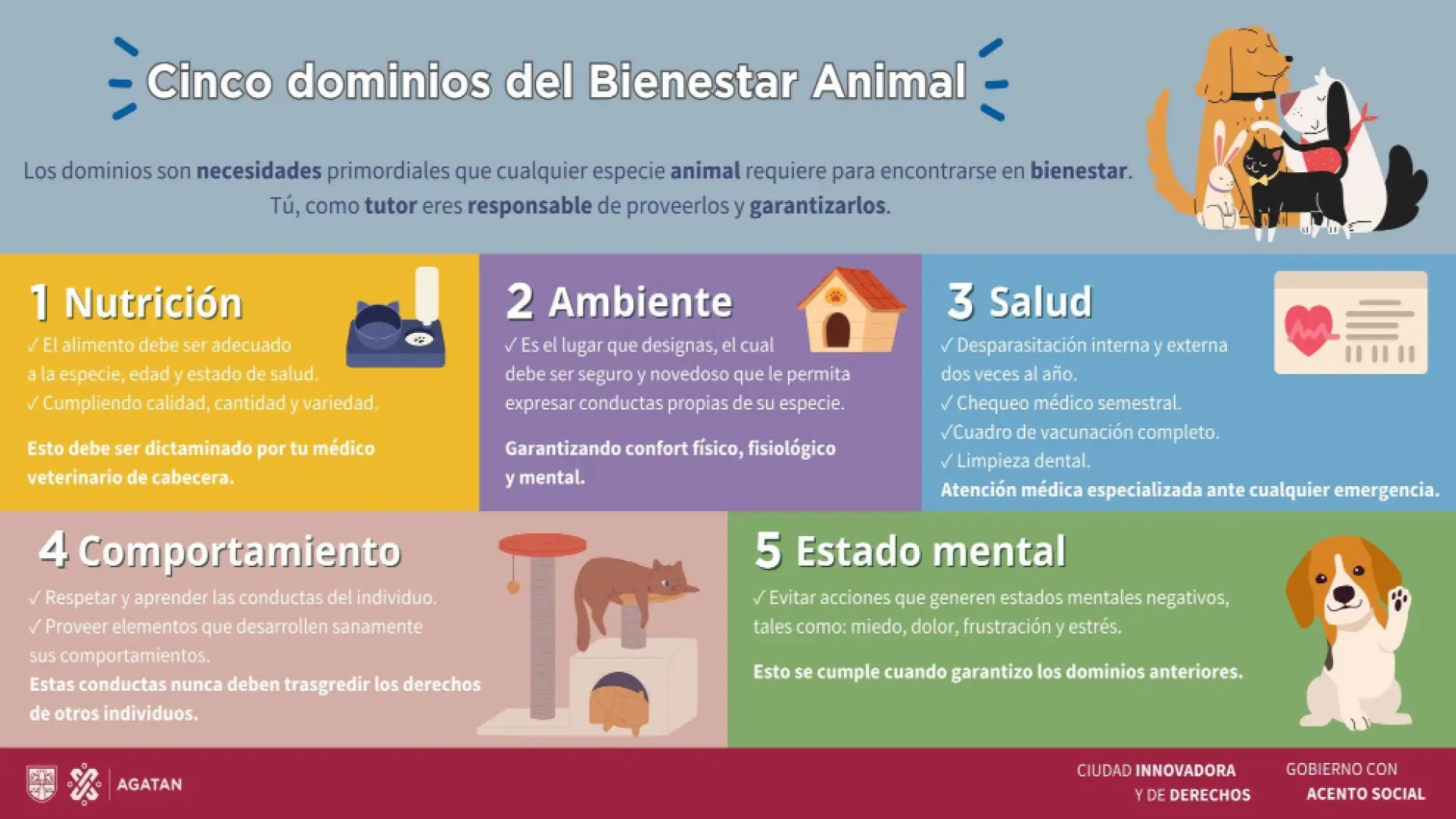 ¿Qué significa realmente 'bienestar animal'? El mapa científico de los 5 dominios