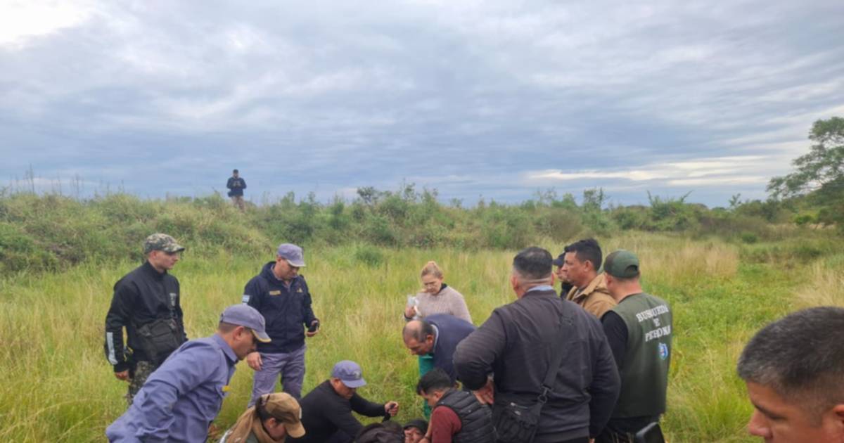 Apareció Jonathan Blanco: lo hallaron con vida después de 20 días desaparecido en Chaco
