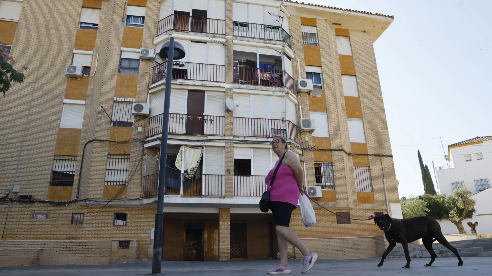 Qué se sabe del asesinato machista de Mairena: el hijo menor gritó "mi papá está apuñalando a mi mamá"