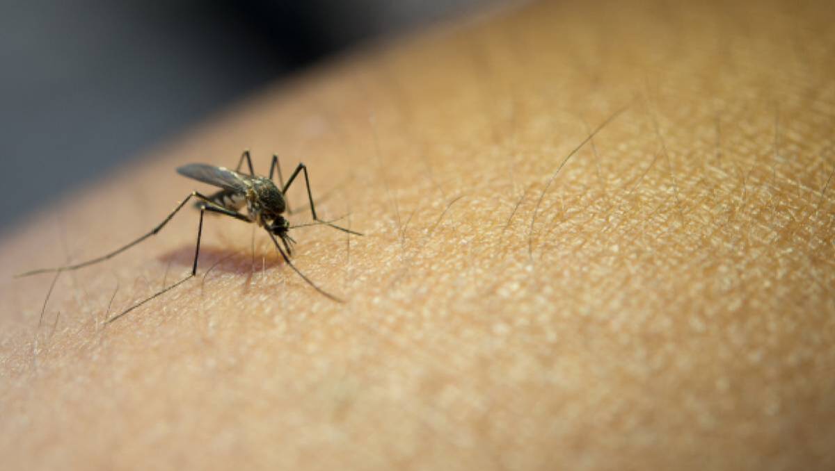 Jalisco registra 47 casos confirmados de dengue en lo que va del 2026