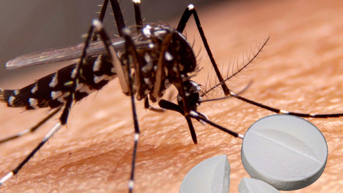 El medicamento común que puede complicar un cuadro de dengue
