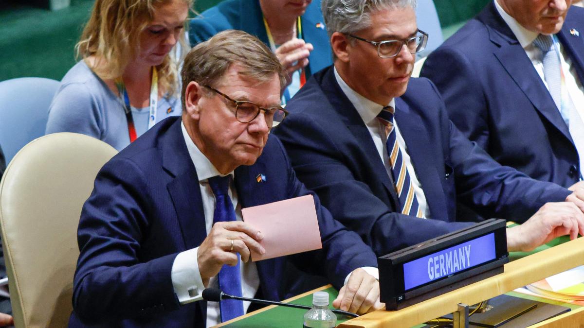 Alemania no logra un asiento en el Consejo de Seguridad de la ONU y lo atribuye a Rusia