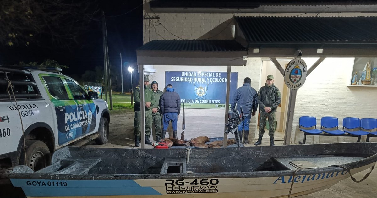 Mataron cinco carpinchos en una zona de reserva natural de Corrientes