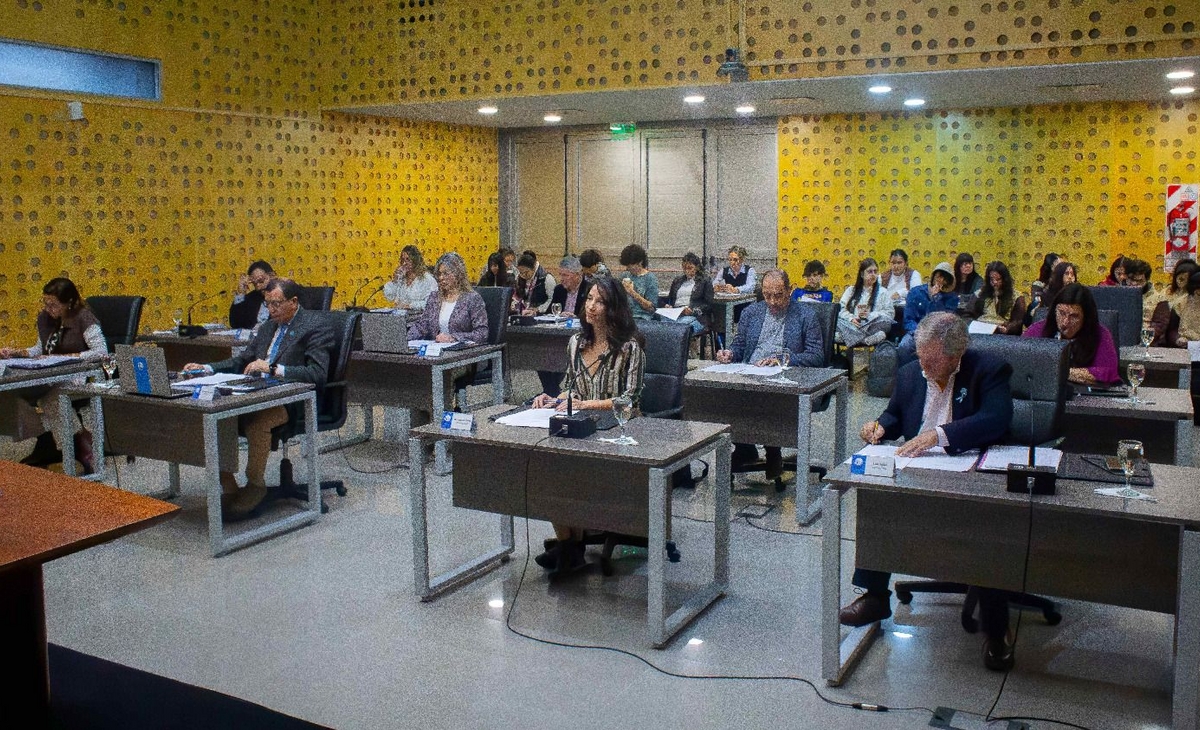 El Concejo Deliberante de Pico aprobó la moratoria 2026