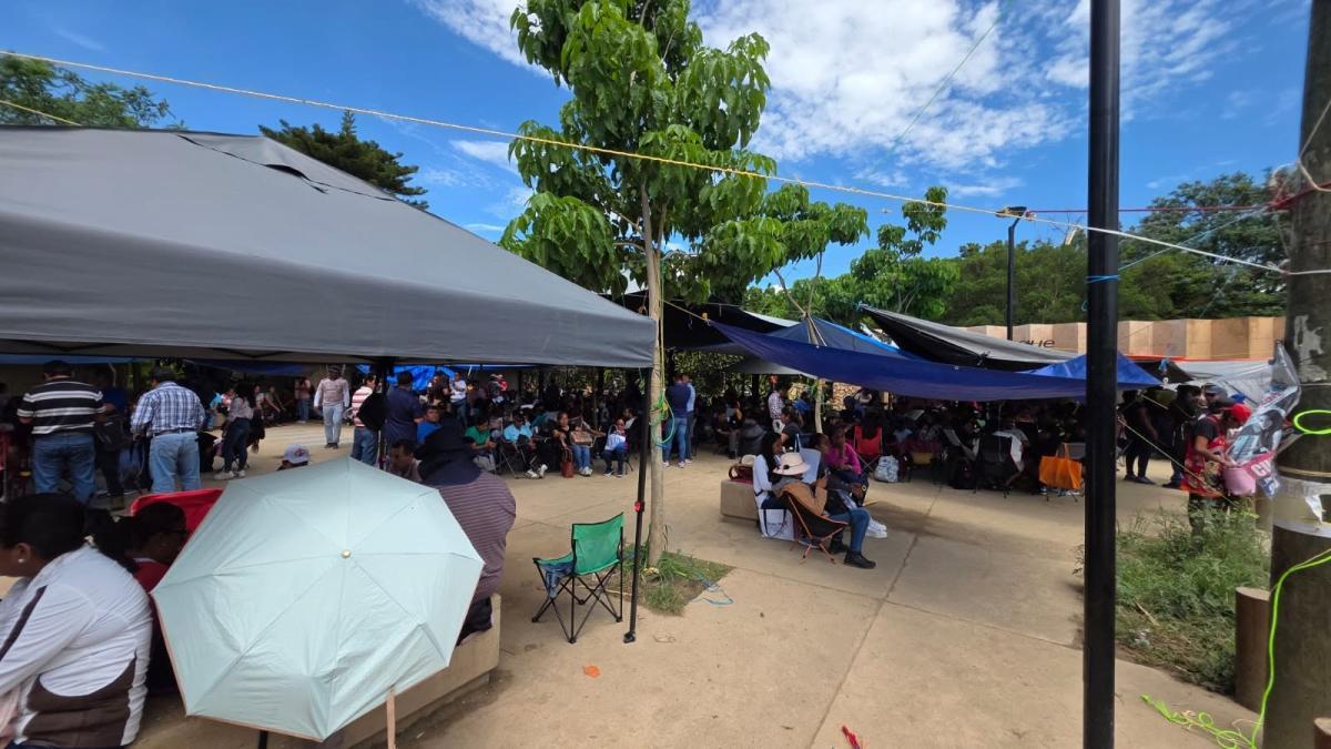 La CNTE evalúa decretar un receso y retirar plantones en Oaxaca y la CDMX