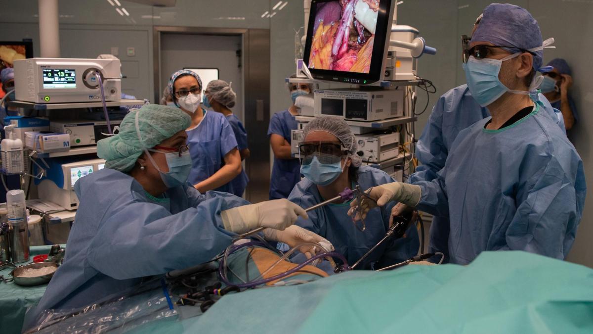 Por qué el 80% de los españoles dice que quiere donar sus órganos pero no lo hace