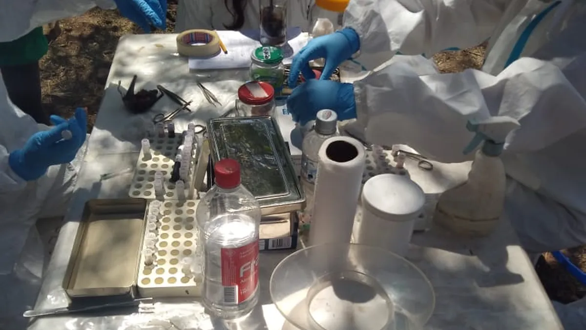 CONICET y Salud encabezan una investigación sobre Hantavirus en la provincia