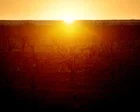 El Niño expected to develop in coming months, bringing hotter and drier weather to eastern Australia
