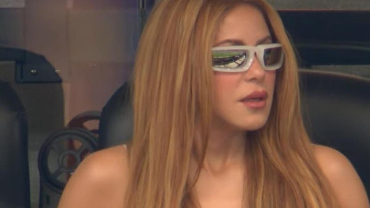 ¿Otra vez apareció la "doble de Shakira"? La cantante fue vista en el partido Argentina vs. Austria