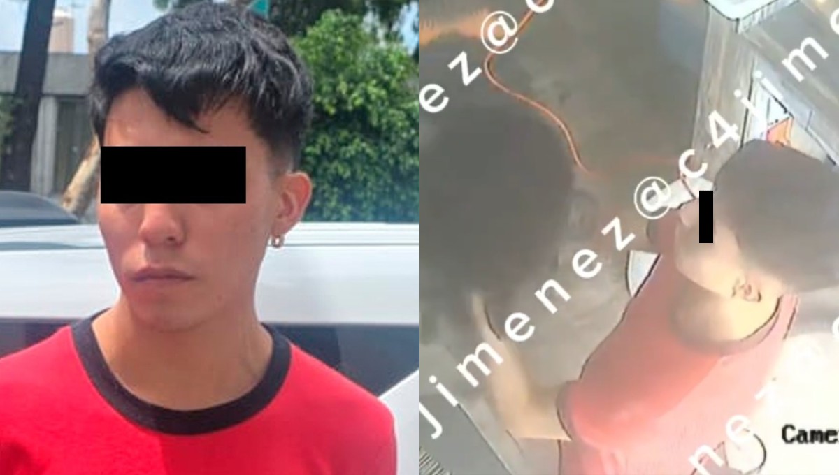 Así murió Coco, el Pomerania que acudió a spa en la Roma
