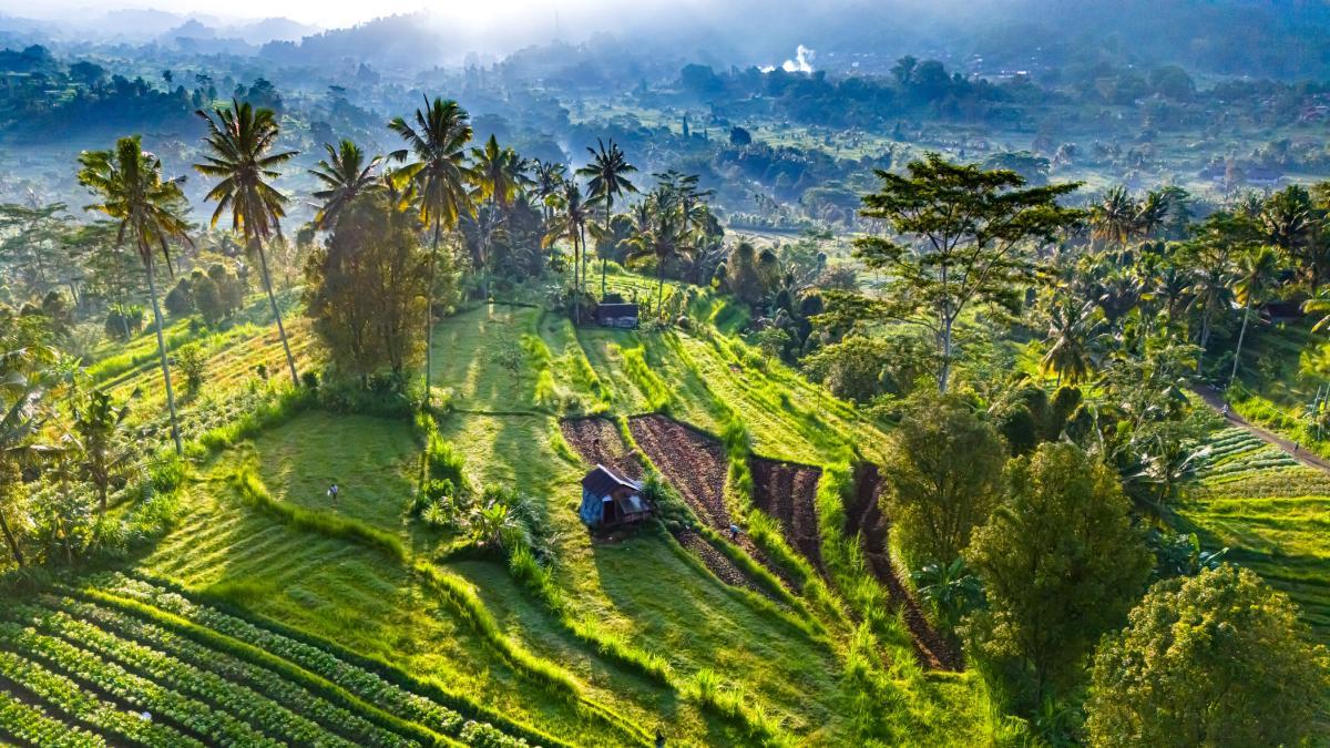Sidemen: viajar sin prisas entre los templos y arrozales de Bali