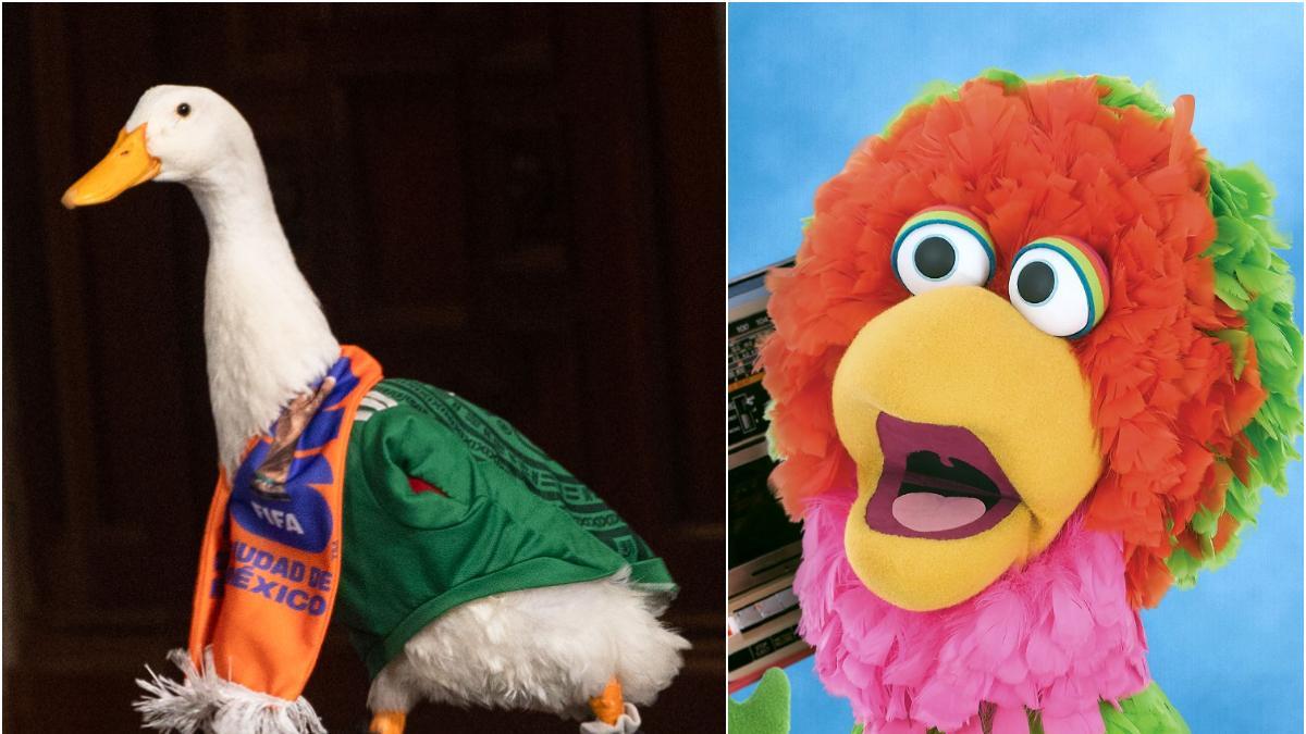 ¿Pato Merlín a Plaza Sésamo? Abelardo pide conocer al ave viral del Mundial