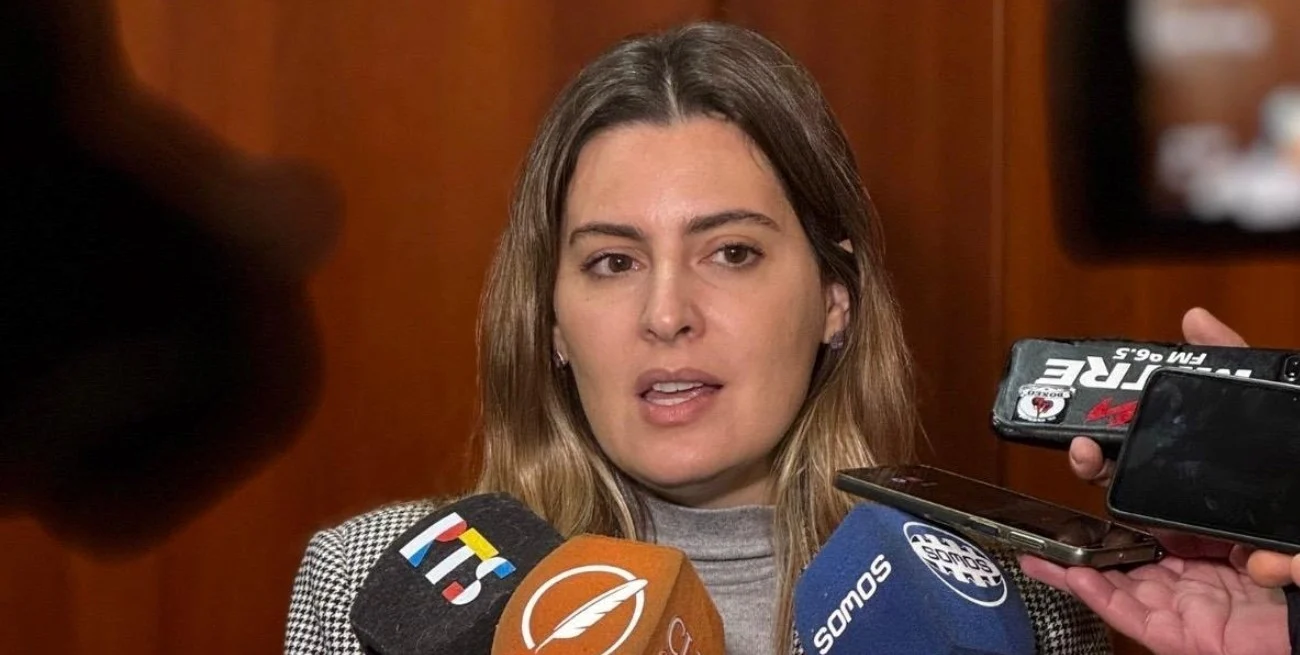 Cattalini: "Salmain tiene que rendir cuentas ante la Justicia"