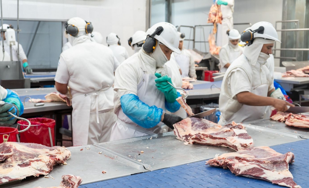 Cayó la exportación de carne pampeana por la crisis de producción frigorífica nacional