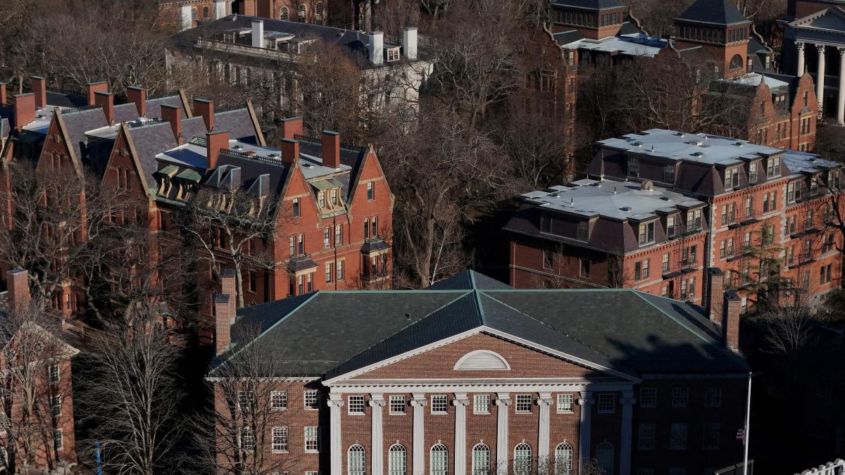 Los mexicanos en Harvard viven el Mundial entre clases, exámenes y el orgullo por su país.