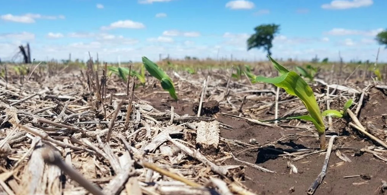Santa Fe puso en marcha nueve medidas para hacer frente al cambio climático