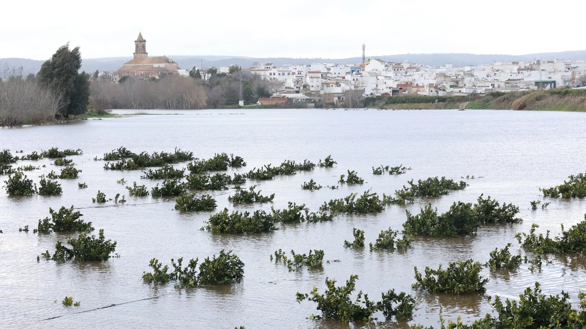 El Gobierno paga 167,3 millones en ayudas a 12.200 agricultores y ganaderos afectados por las borrascas