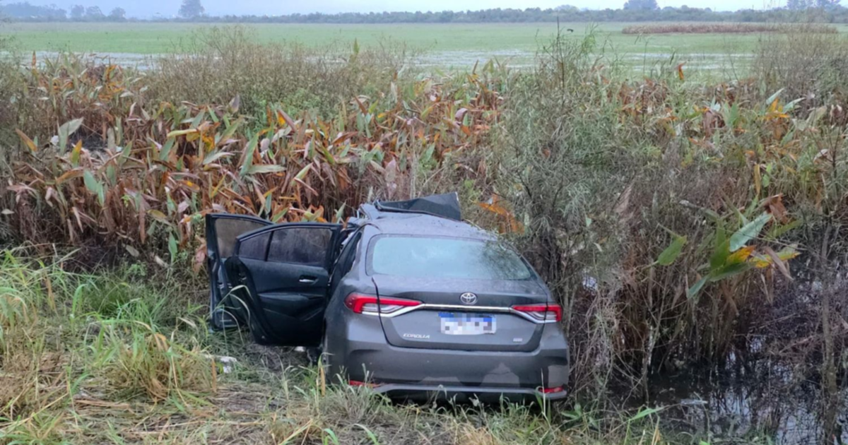 Hallaron cerca de $183 millones ocultos en un auto tras chocar contra una retroexcavadora en Corrientes