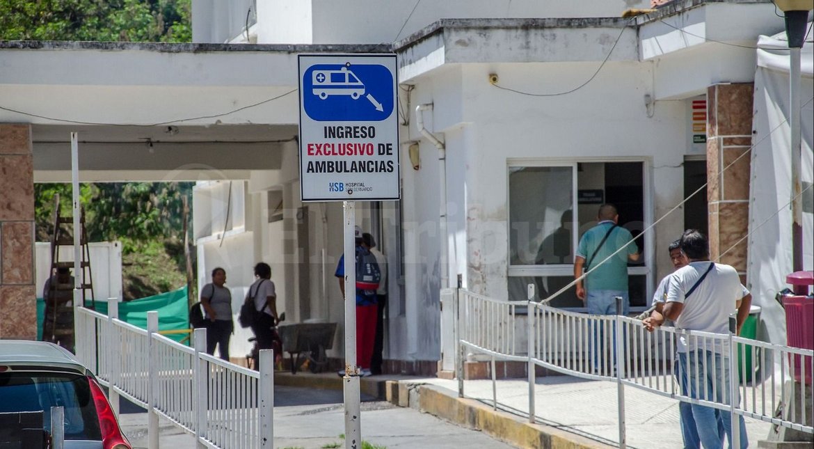 Más de 400 mordeduras de perro y 116 pacientes hospitalizados por virus respiratorios en Salta