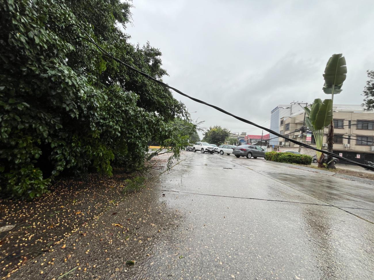Inundaciones en Guayaquil: 25 sectores afectados por lluvia