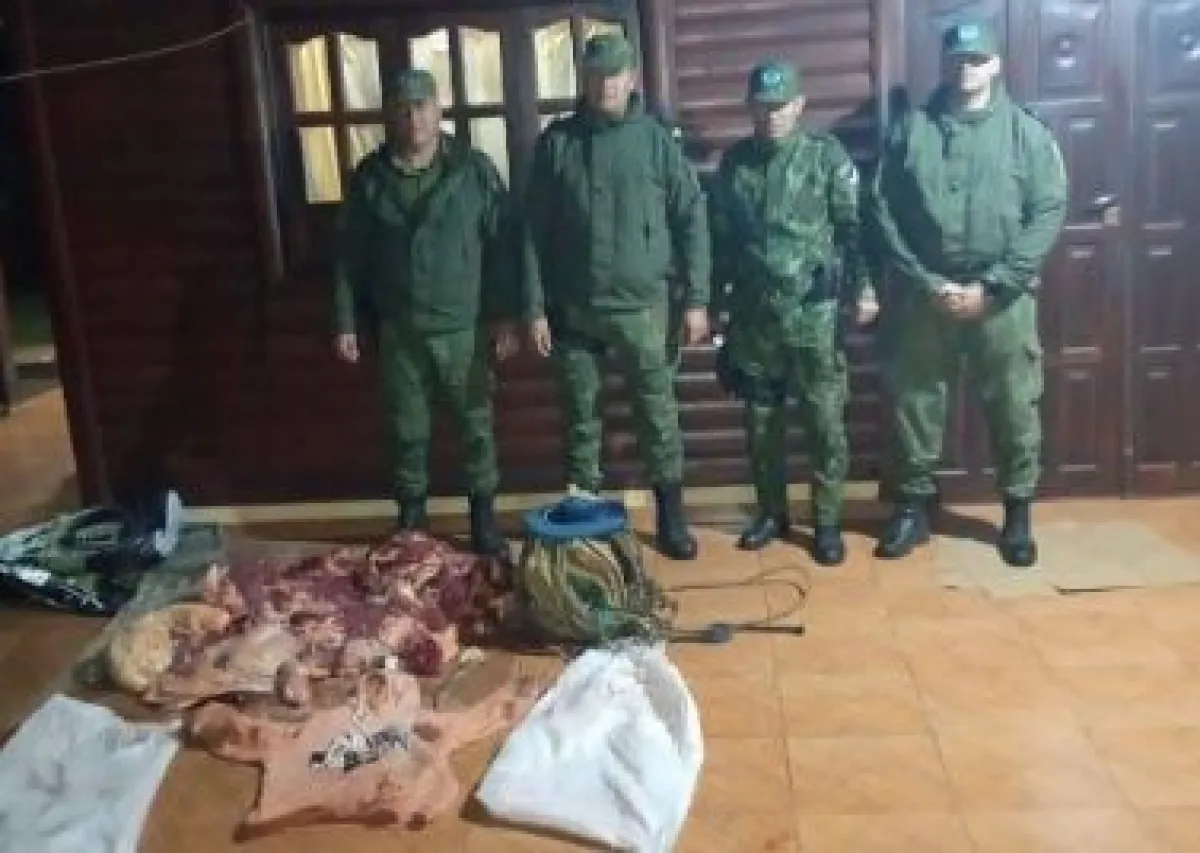 Alvear: secuestran carne vacuna y detienen a pareja acusada de robo de ganado