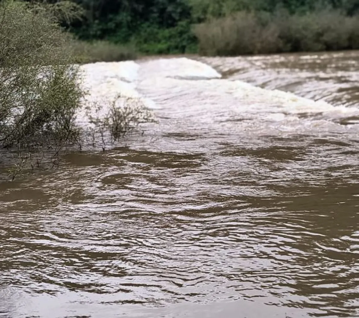Continúa cerrado el acceso al Parque Provincial Moconá por la crecida del arroyo Yabotí