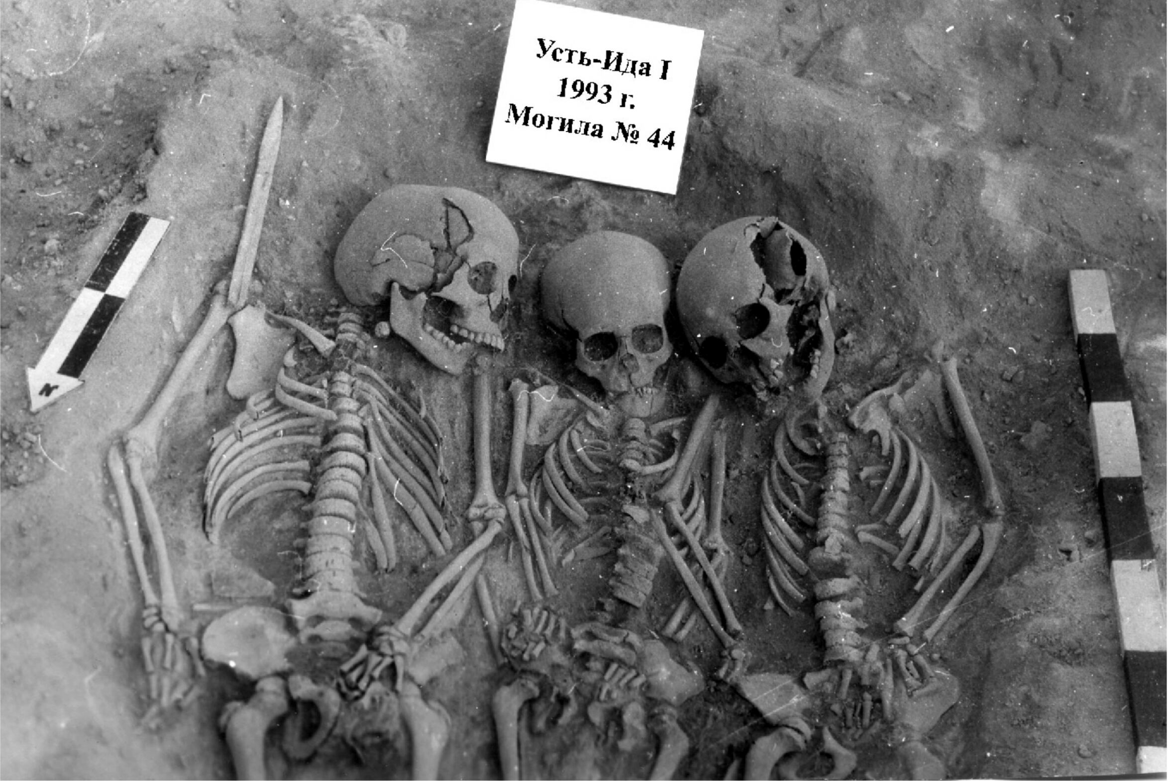 La primera peste emergió en Siberia hace 5.500 años, y mató sobre todo a los niños